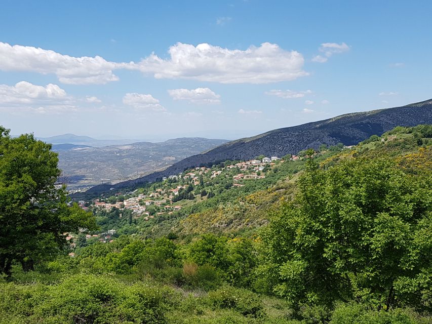 Volos: Cook Like a Local at a Greek Farm - Key points to know before booking