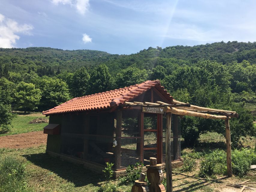 Volos: Cook Like a Local at a Greek Farm - How the 3.5 hours are likely to unfold