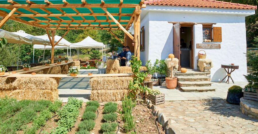 Volos: Cook Like a Local at a Greek Farm - Practical details that can make the day easier