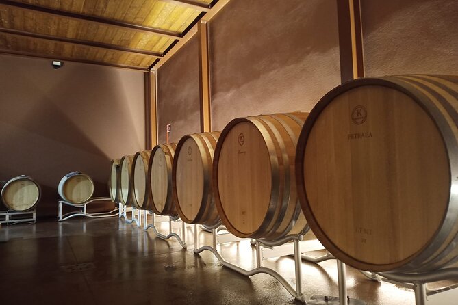 Volterra wines, sensory emotions of organic farming - Key points to know before booking