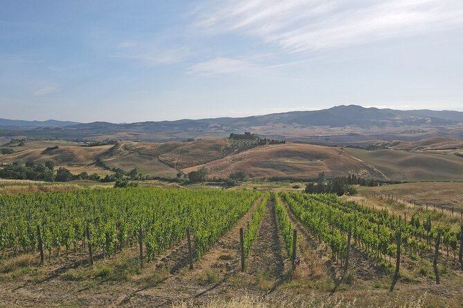 Volterra wines, sensory emotions of organic farming - A working winery near Volterra, not a grand tasting hall