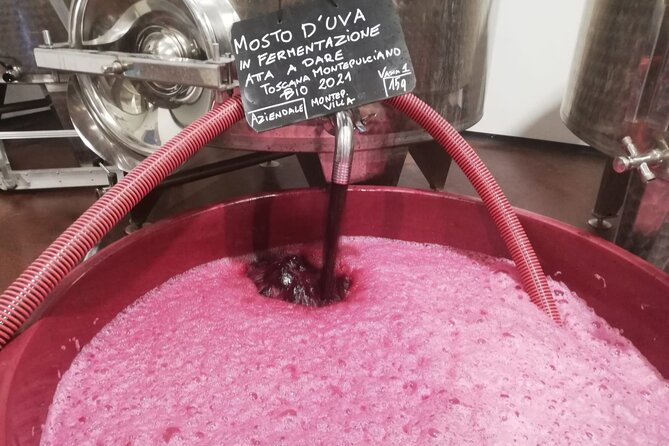 Volterra wines, sensory emotions of organic farming - Four wines and food pairings in the tasting room