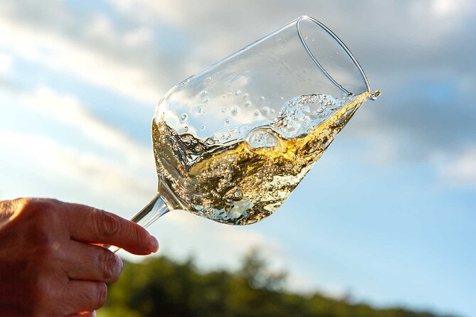 Volterra wines, sensory emotions of organic farming - What happens during the 90-minute cellar visit
