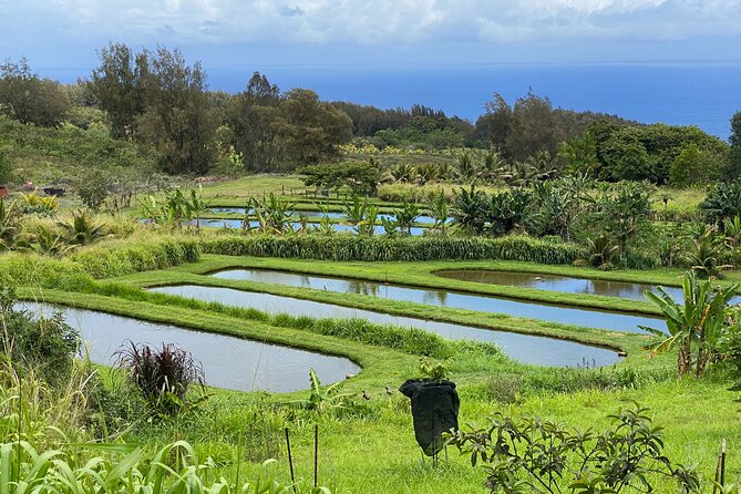 Waipi’o on Horseback: Mountain Ocean Views Working Cattle Ranch - What the two-hour route is really like