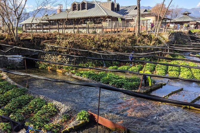 Wasabi Farm Walking Tour & Lunch - Who will enjoy this tour most?