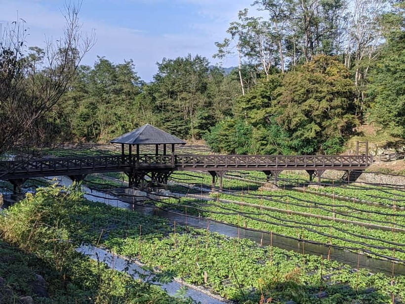 Wasabi Farm Walking Tour with Lunch - Starting near Matsumoto and reaching Azumino