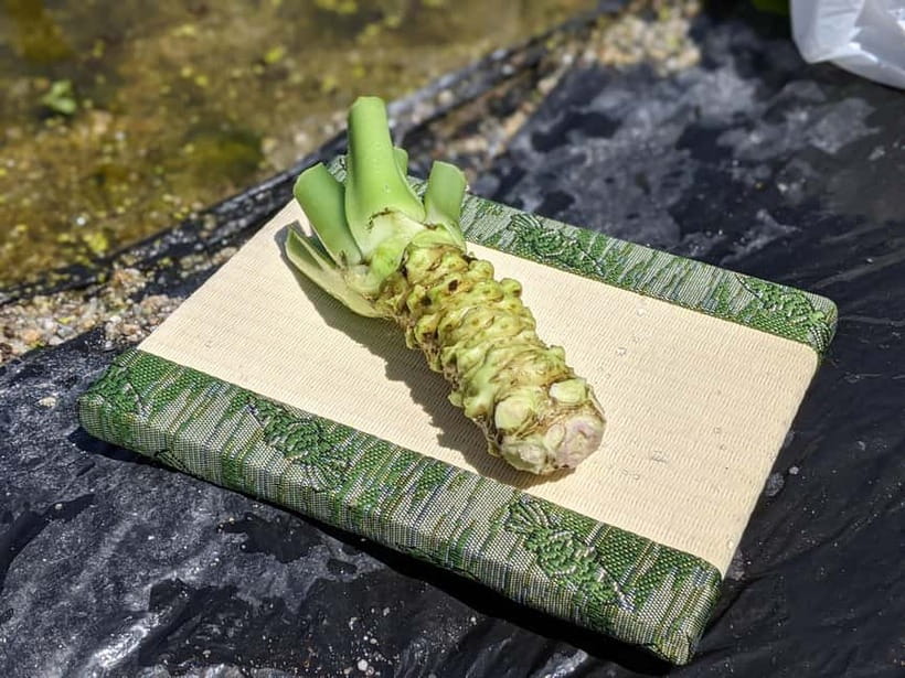 Wasabi Farm Walking Tour with Lunch - Should you book the Daio Wasabi Farm tour?