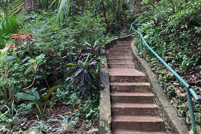 Welchman Hall Gully, Hunte’s Garden and Peg Farm Family Day - A five-hour look at Barbados beyond the beach