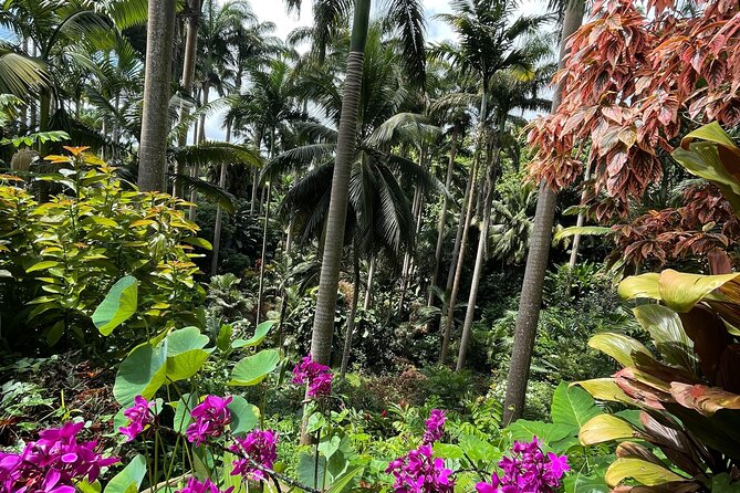 Welchman Hall Gully, Hunte’s Garden and Peg Farm Family Day - Why the private minivan makes a difference