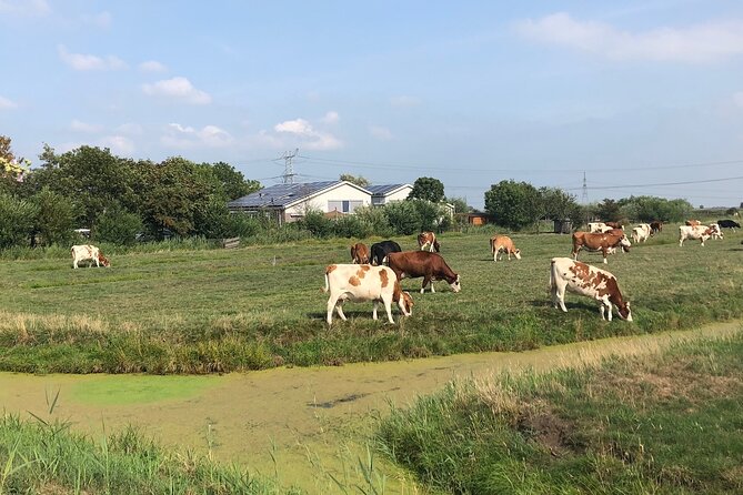 Windmill, Dairy Farms & Countryside Electric Bike Tour - Zunderdorp brings quiet village roads and farm fields
