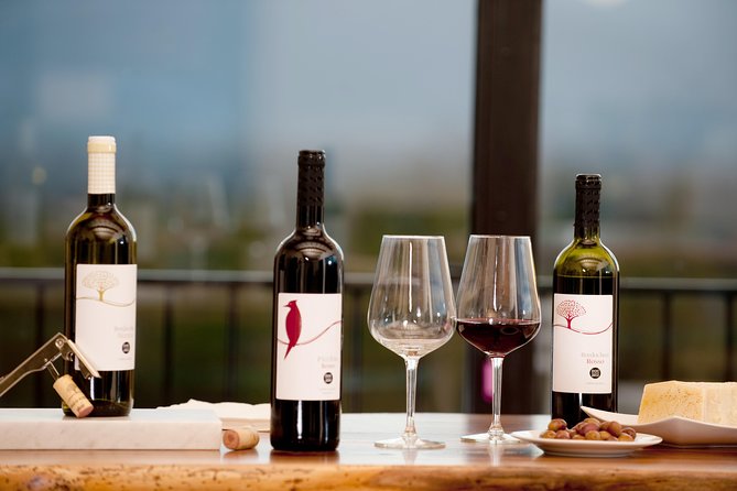 Wine and olive oil tasting & farm tour - A light Tuscan lunch included in the price