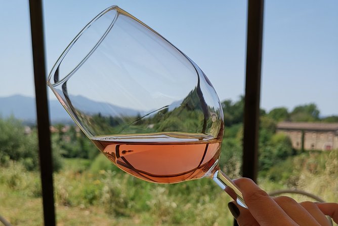 Wine and olive oil tasting & farm tour - Getting there from Lucca