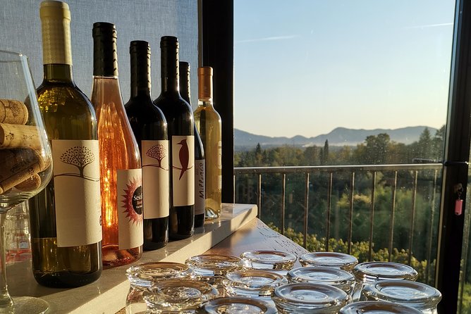 Wine and olive oil tasting & farm tour - The opening walk through the farm