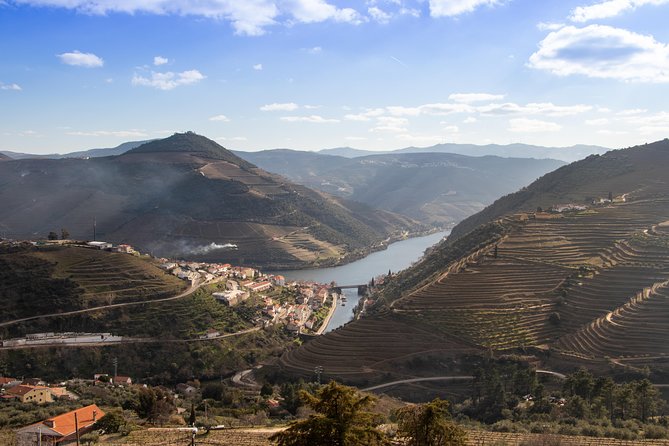 Wine Class Portugal wines in a small farm with a visit to the winery - Is $266.07 per person reasonable?
