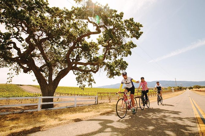 Wine Country Farm to Table Bike Tour w/Lunch - Key points to know before booking