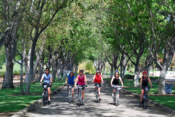 Wine Country Farm to Table Bike Tour w/Lunch - How the $175 price holds up