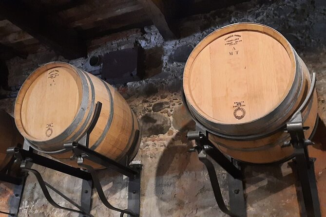 Wine Experience in farm vineyard & winery from Montecatini T. - Six wines, plus the extras
