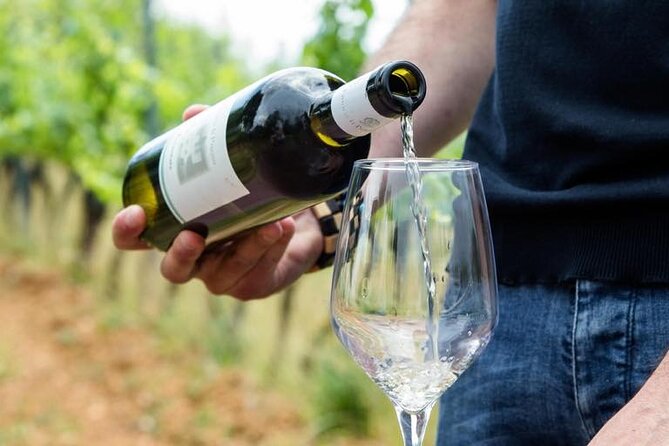 Wine Experience in farm vineyard & winery from Montecatini T. - What the four-hour outing actually feels like