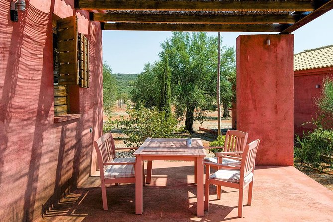 WIne & Olive Oil Tasting in an Organic Farm in Laconia, Greece! - Walking Through the Organic Farm