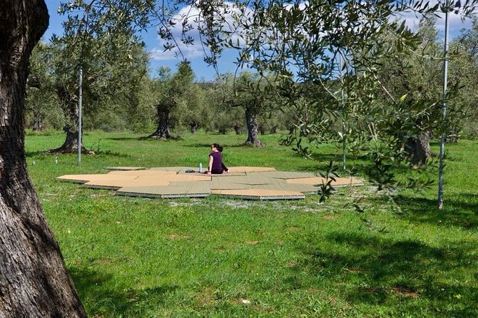 WIne & Olive Oil Tasting in an Organic Farm in Laconia, Greece! - A Light Lunch With Local Food
