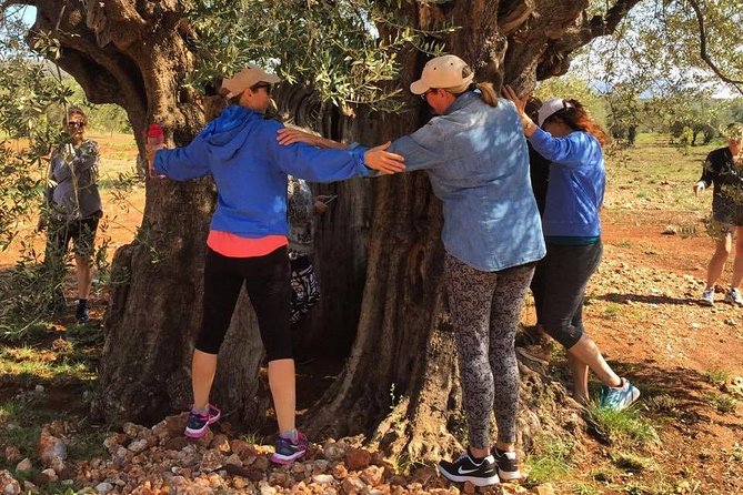 WIne & Olive Oil Tasting in an Organic Farm in Laconia, Greece! - The Personal Side of the Visit