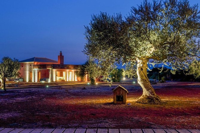 WIne & Olive Oil Tasting in an Organic Farm in Laconia, Greece! - Is $590.38 Per Person Good Value?