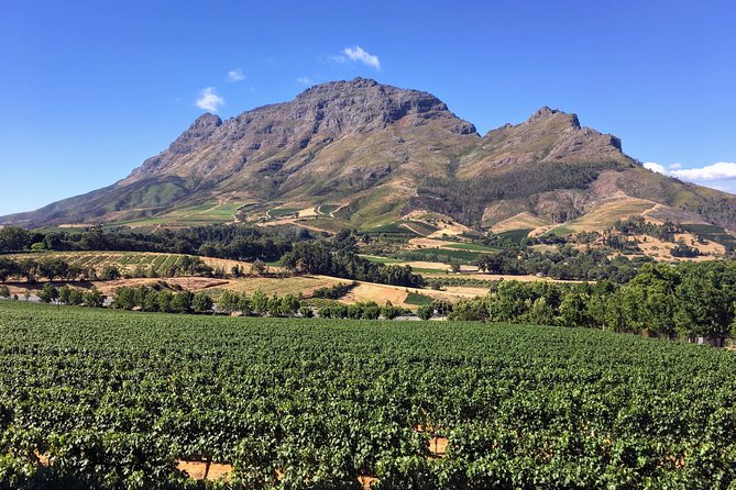 Wine tasting - Boutique farms - Key points to know before booking