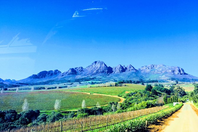 Wine tasting - Boutique farms - The guide can make or break the day