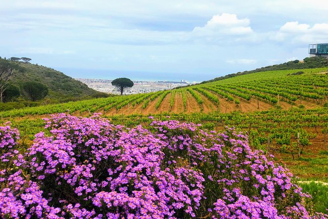 Wine tasting - Boutique farms - Private touring is the biggest practical advantage