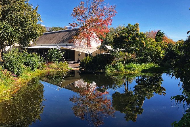 Wine Tasting, Cape Dutch Farm and Art Day Tour from Cape Town - La Motte, Pierneef, and the wine tasting room