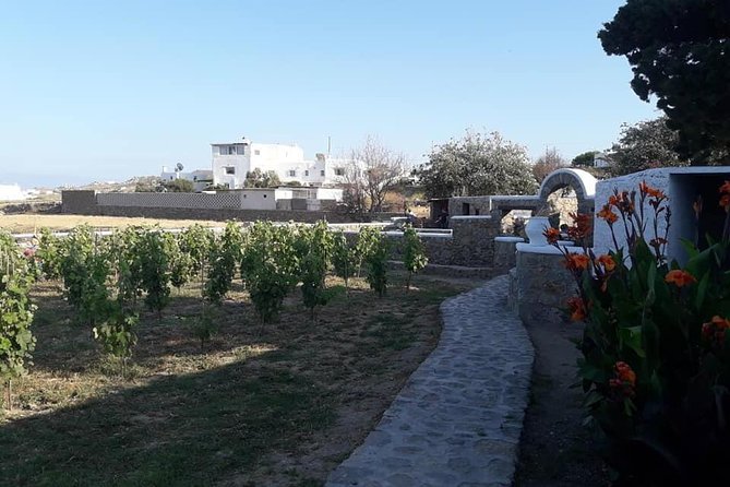 Wine Tasting Tour at a traditional farm in Mykonos - Pickup, Ports, and the Details That Matter