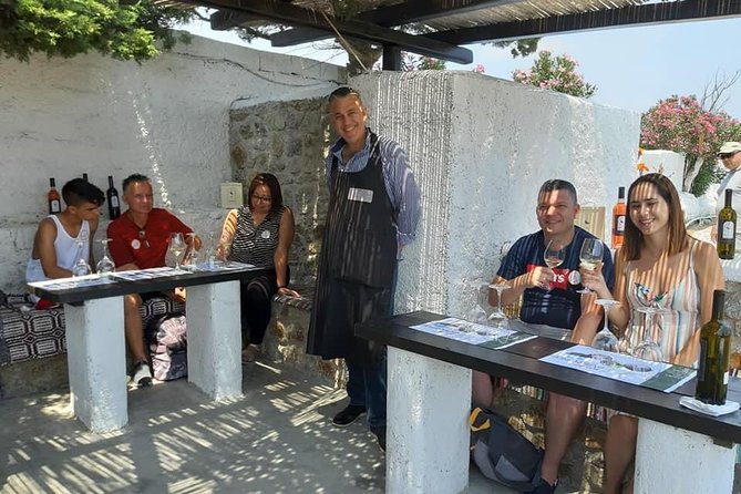 Wine Tasting Tour at a traditional farm in Mykonos - Who Will Enjoy This Mykonian Farm Experience?