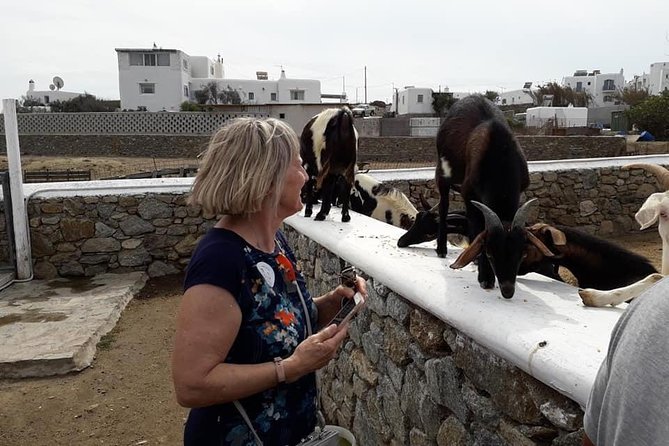 Wine Tasting Tour at a traditional farm in Mykonos - The Best Way to Plan Your Visit