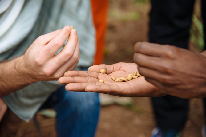 Women-led Coffee Farm Trek - Starting with coffee at Question Coffee Gishushu