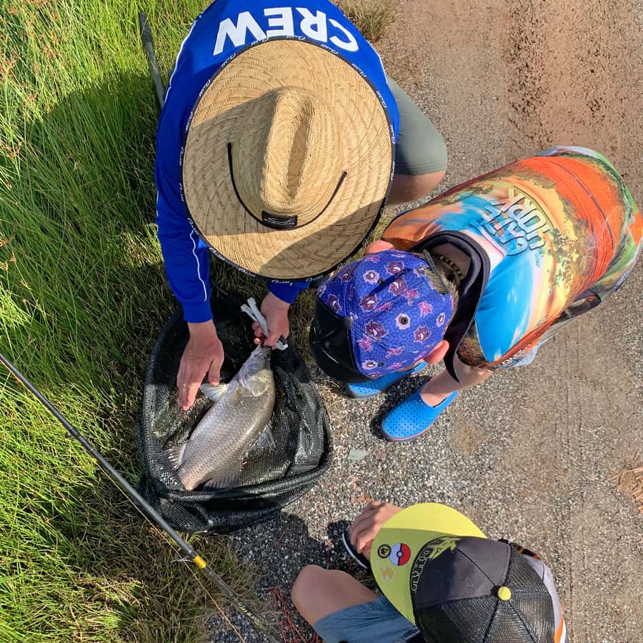Wonga: Guided Fishing, Farming and Tasting Tour - Watching a barramundi harvest