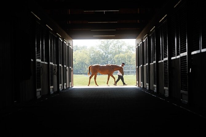 Woodford Reserve, Kismet Thoroughbred Farm & Whiskey Thief - Is $275 a fair price?