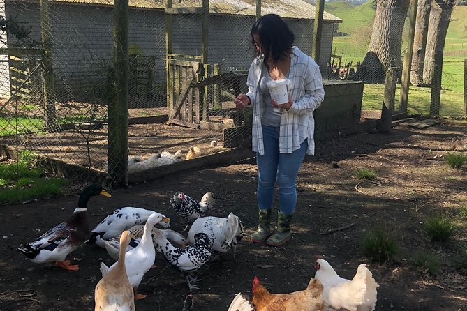 Wool Sheep Farm Experience with Handmade Wool Hat in New Zealand - A close look at Ātiamuri’s working farm