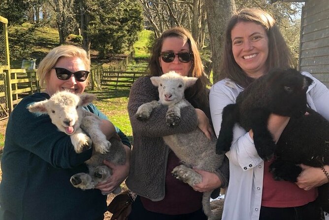 Wool Sheep Farm Experience with Handmade Wool Hat in New Zealand - From shorn fleece to hand-spun yarn