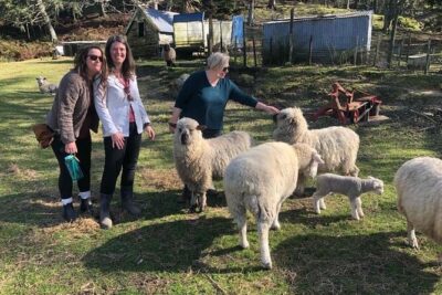 Wool Sheep Farm Experience with Handmade Wool Hat in New Zealand