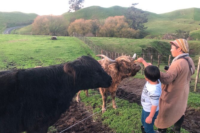 Wool Sheep Farm Experience with Handmade Wool Hat in New Zealand - Why the one-hour length can work