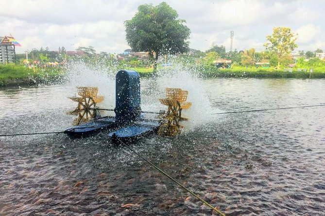 Yogyakarta Cycling Tour Around the Villages and Fish Farm - What the $23 price covers