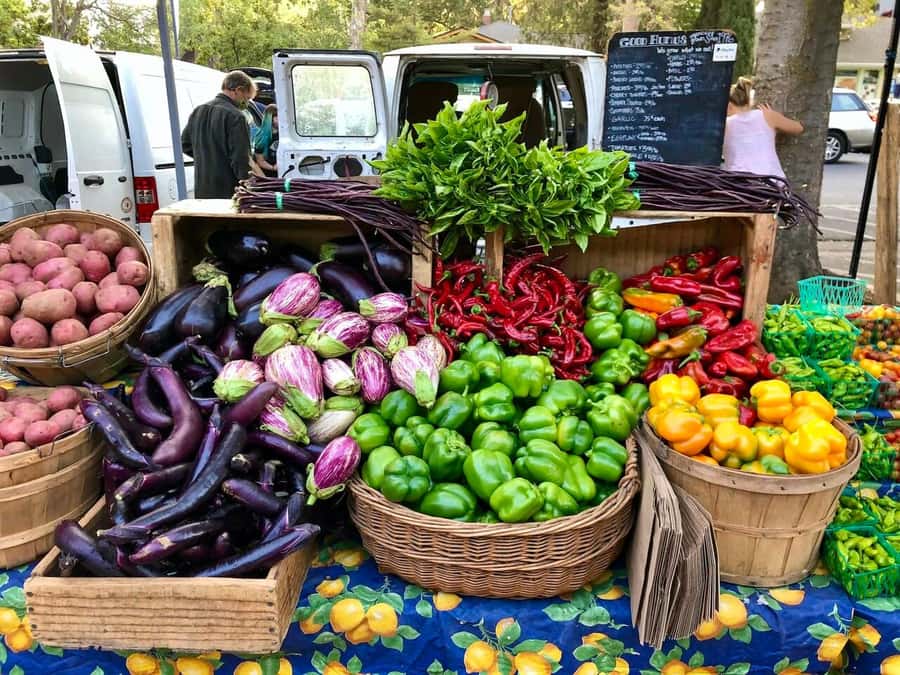 Yolo: Vineyards, Farms & Cultural Gems - Audio Driving Tour - Who Should Book This Yolo Tour