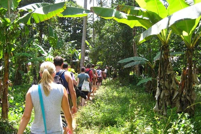 Zanzibar Aromatic Spice Farms Tour - The tasting is the heart of the visit