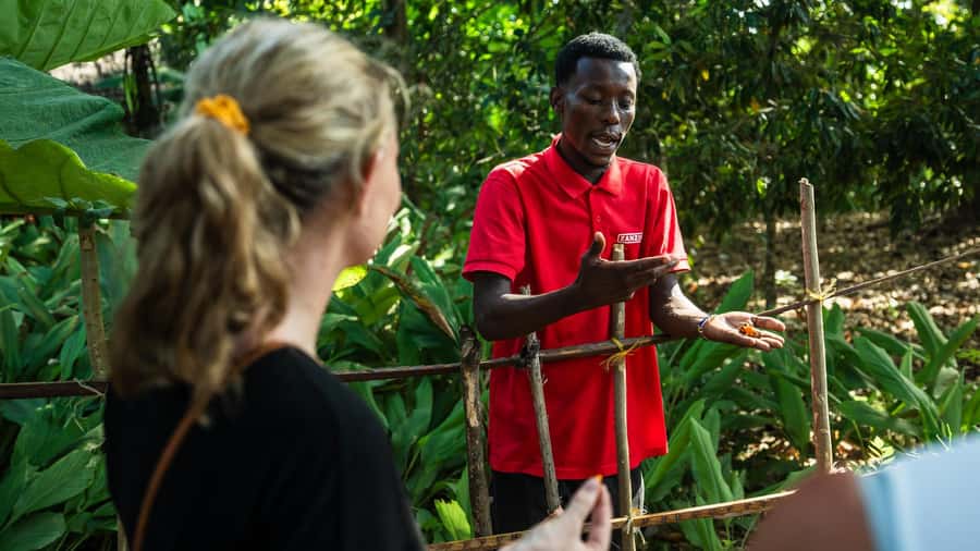 Zanzibar: Day Jozani Forest,Spice Farm,Nature and Savor Tour - Why Jozani Forest Is the Heart of the Day