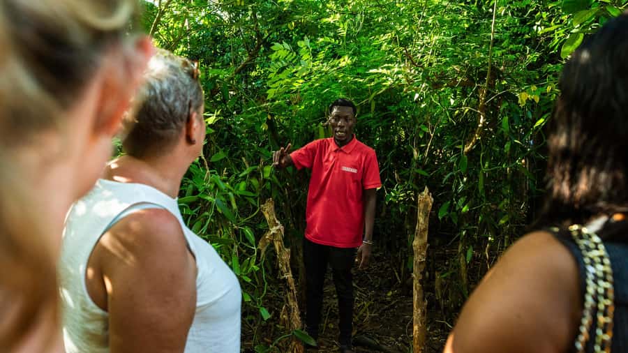 Zanzibar: Day Jozani Forest,Spice Farm,Nature and Savor Tour - What Happens at the Spice Farm