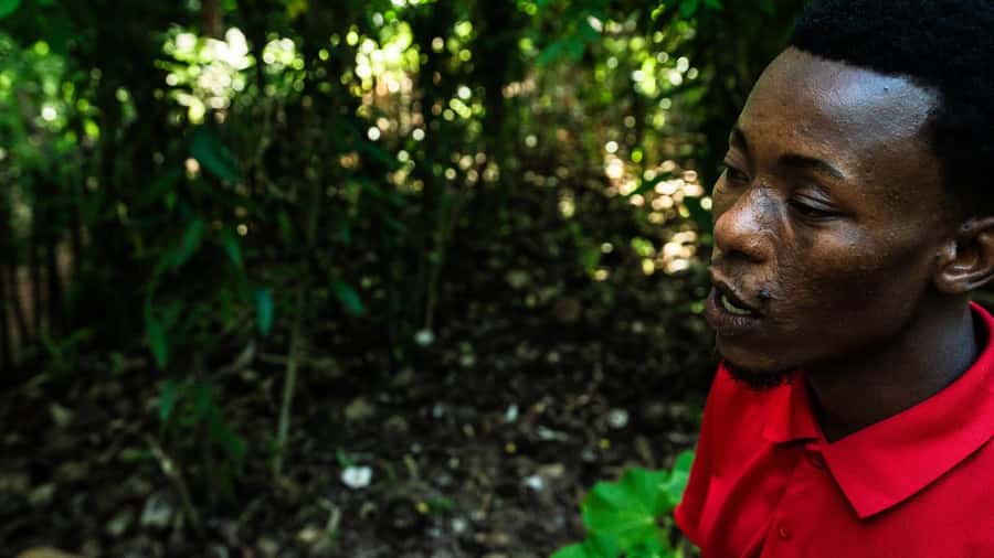 Zanzibar: Day Jozani Forest,Spice Farm,Nature and Savor Tour - Transport, Timing, and Group Size