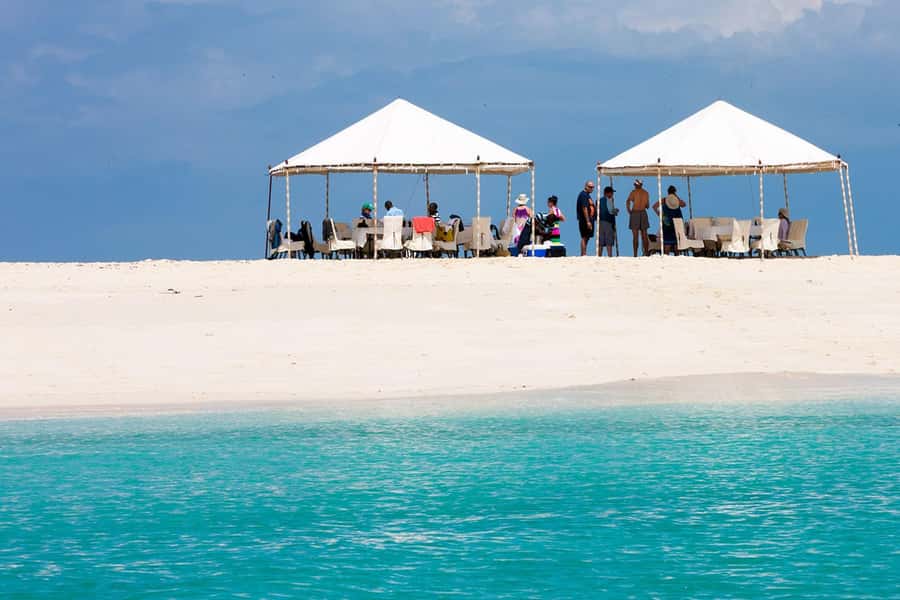 Zanzibar: Day Trip Stone Town, Spice farm,Prison Island - Should You Book This Zanzibar Day Trip?