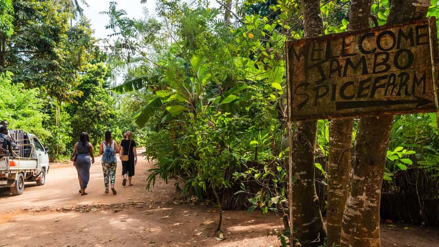 Zanzibar: Half-Day Spice Farm Tour,the flavours of Zanzibar - Key things to know before you go