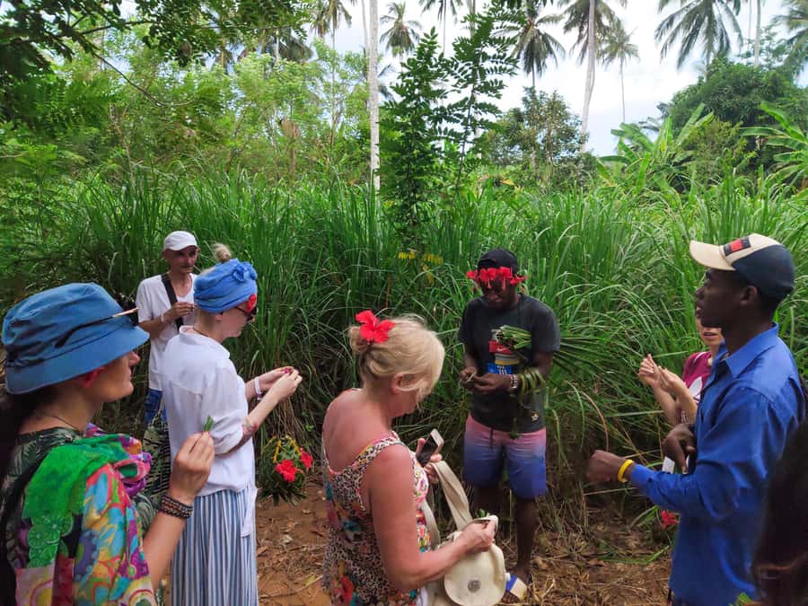 Zanzibar: Half-Day Spice Farm Tour,the flavours of Zanzibar - Who will enjoy this spice farm visit?