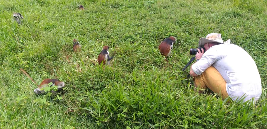 Zanzibar: Jozani Chwaka Bay National Park and Spice Farm … - Key points at a glance